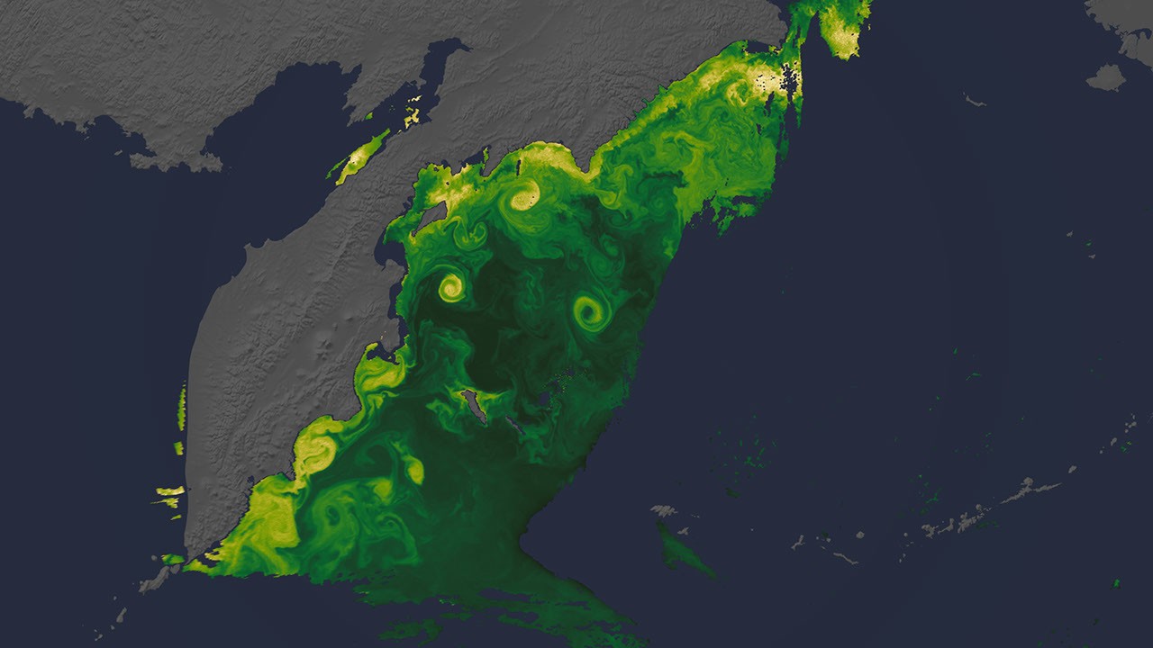 NASA 发布 Artemis II 任务期间地球新影像：浮游植物与极光同框